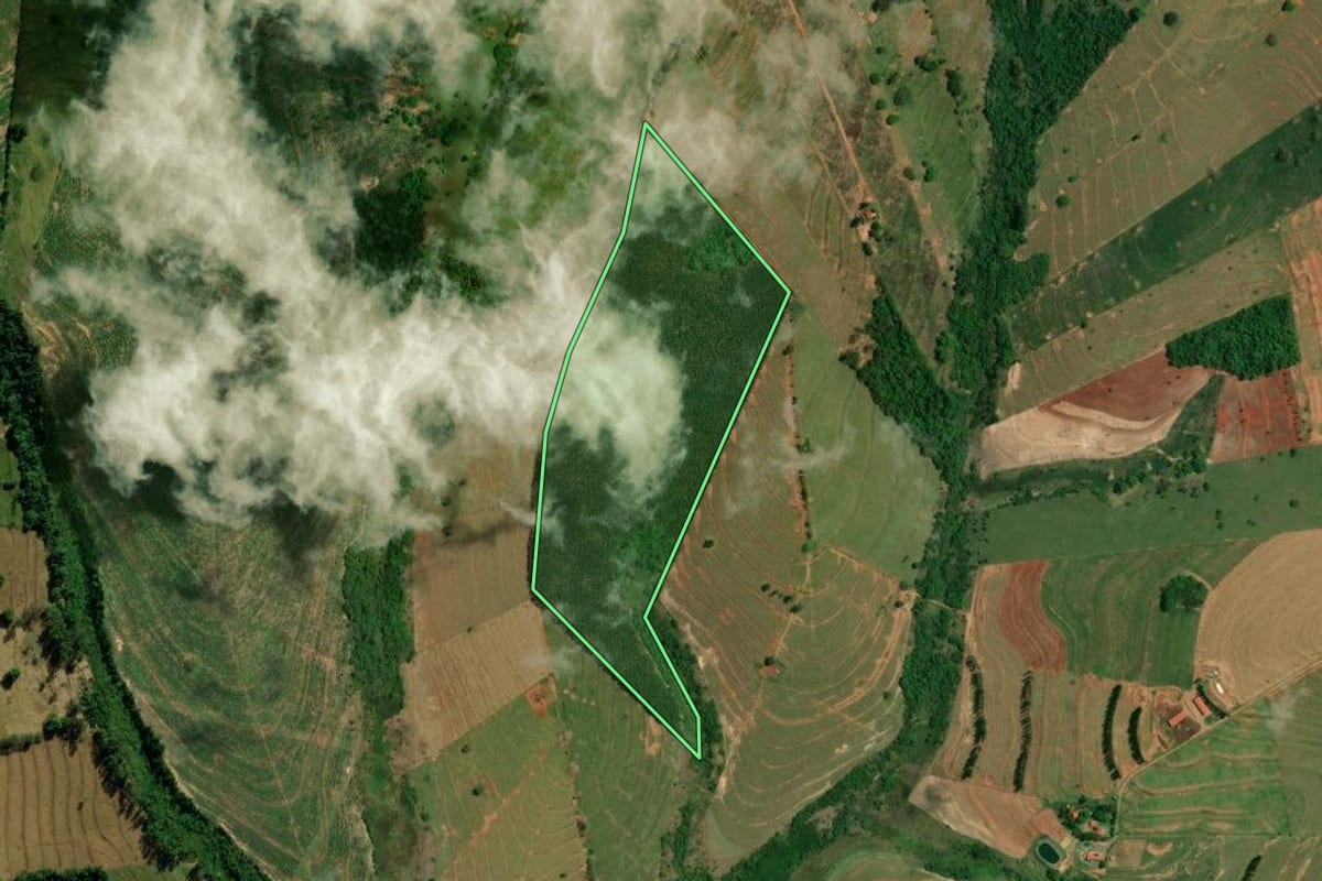 Imagem de satélite do imóvel rural em Altônia (PR), com o contorno declarado no CAR desenhado por cima.