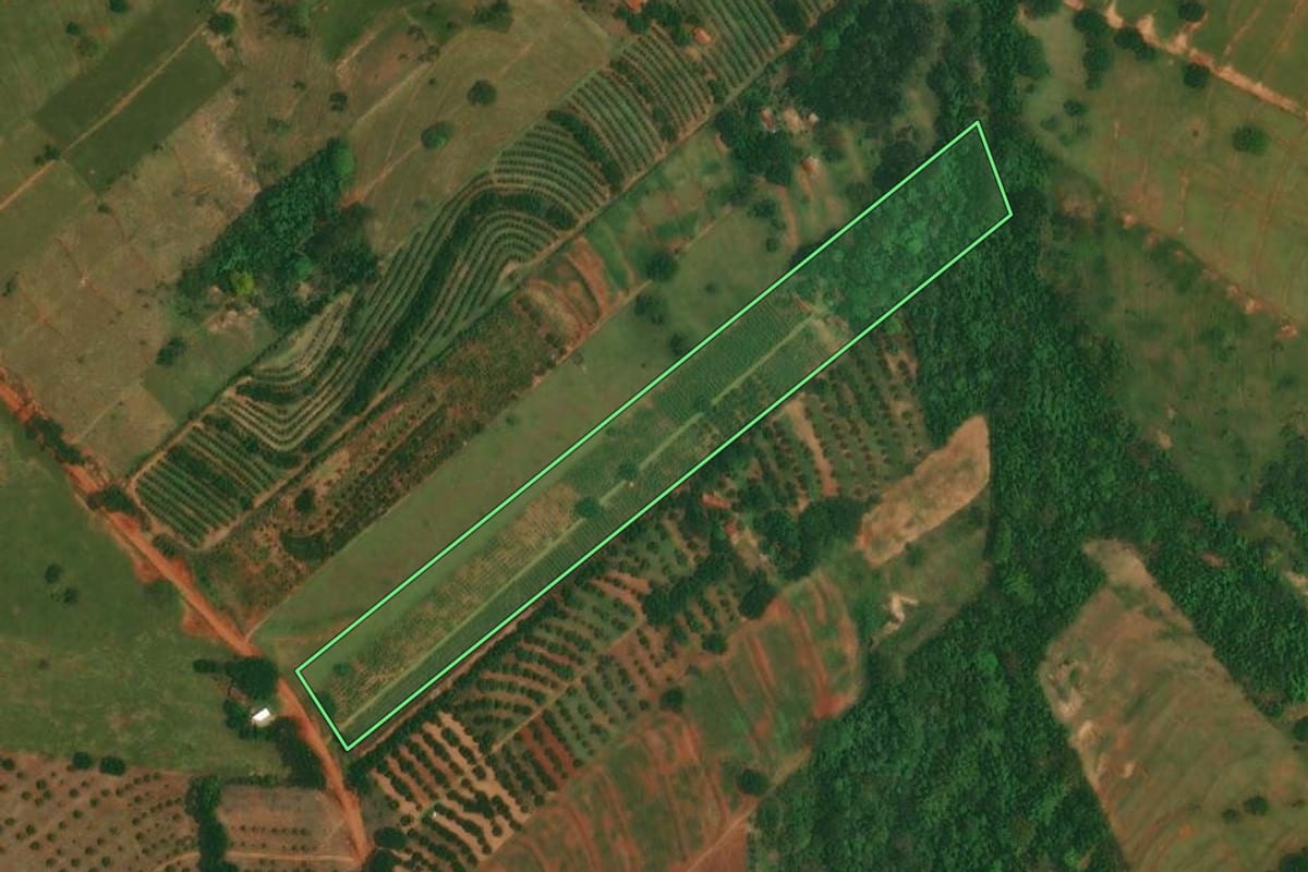 Imagem de satélite do imóvel rural em Altônia (PR), com o contorno declarado no CAR desenhado por cima.