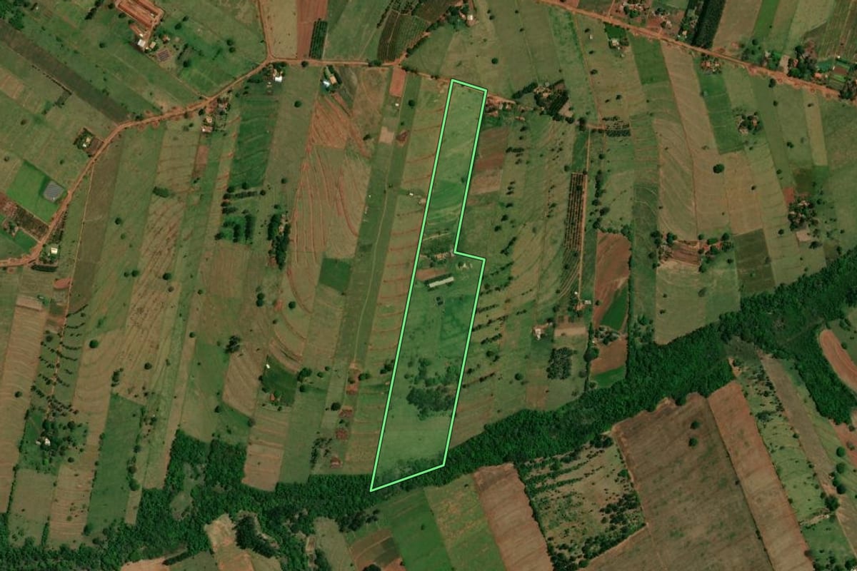 Imagem de satélite do imóvel rural em Altônia (PR), com o contorno declarado no CAR desenhado por cima.
