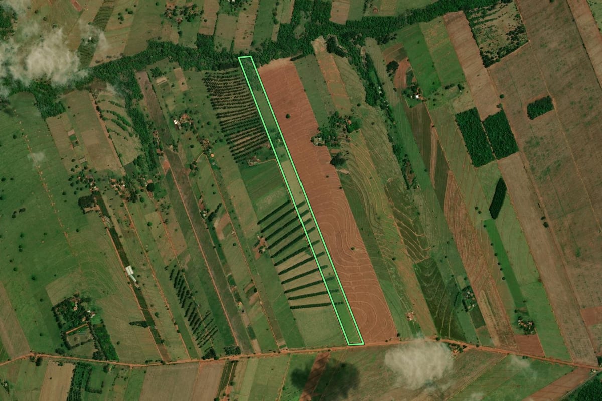 Imagem de satélite do imóvel rural em Altônia (PR), com o contorno declarado no CAR desenhado por cima.