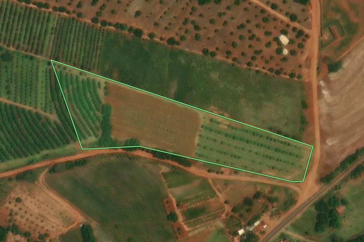 Imagem de satélite do imóvel rural em Altônia (PR), com o contorno declarado no CAR desenhado por cima.