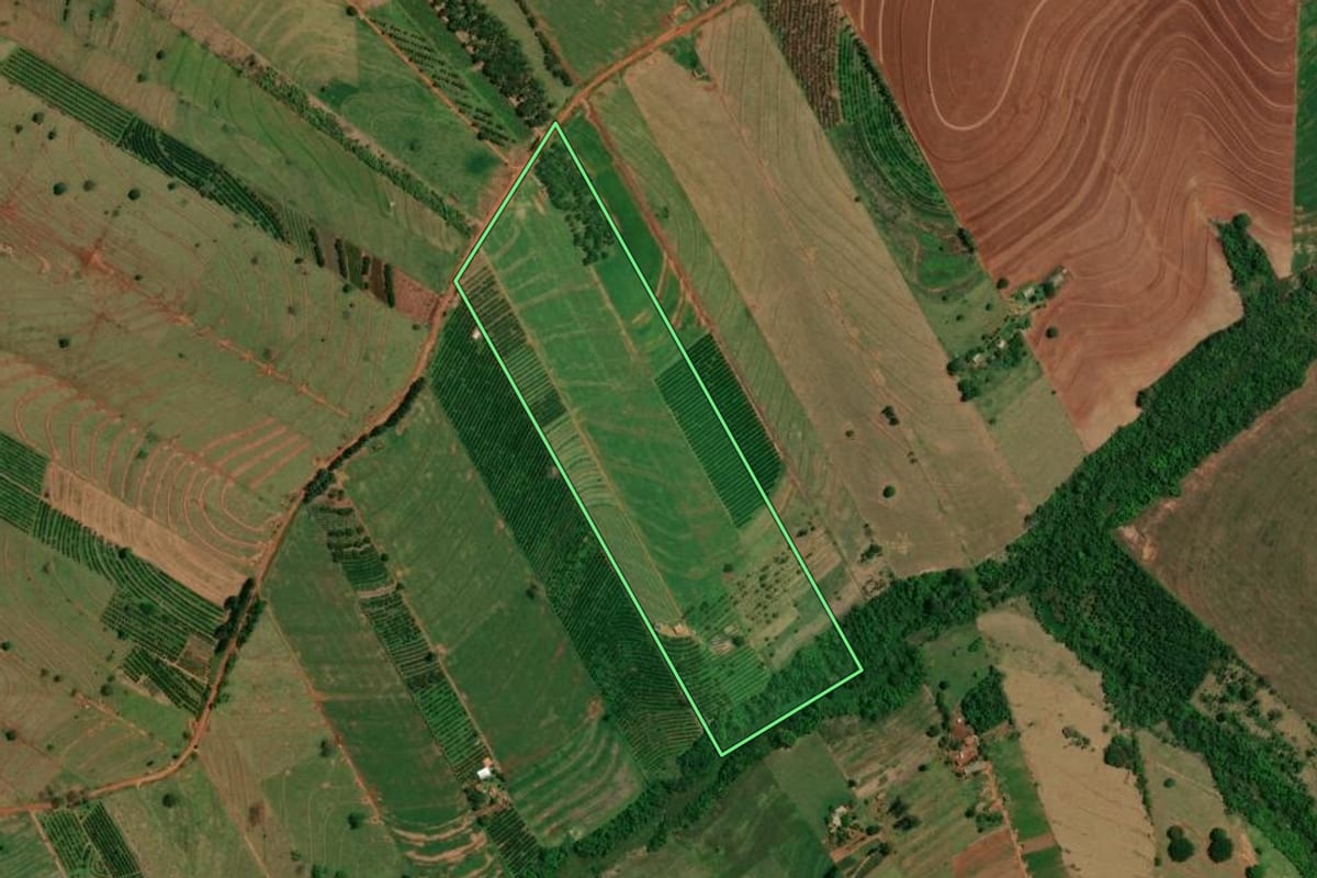 Imagem de satélite do imóvel rural em Altônia (PR), com o contorno declarado no CAR desenhado por cima.