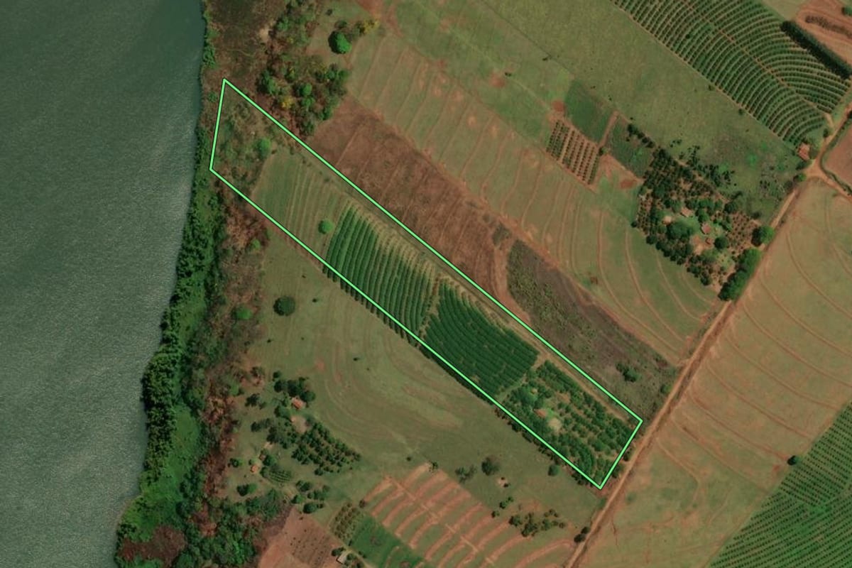 Imagem de satélite do imóvel rural em Altônia (PR), com o contorno declarado no CAR desenhado por cima.