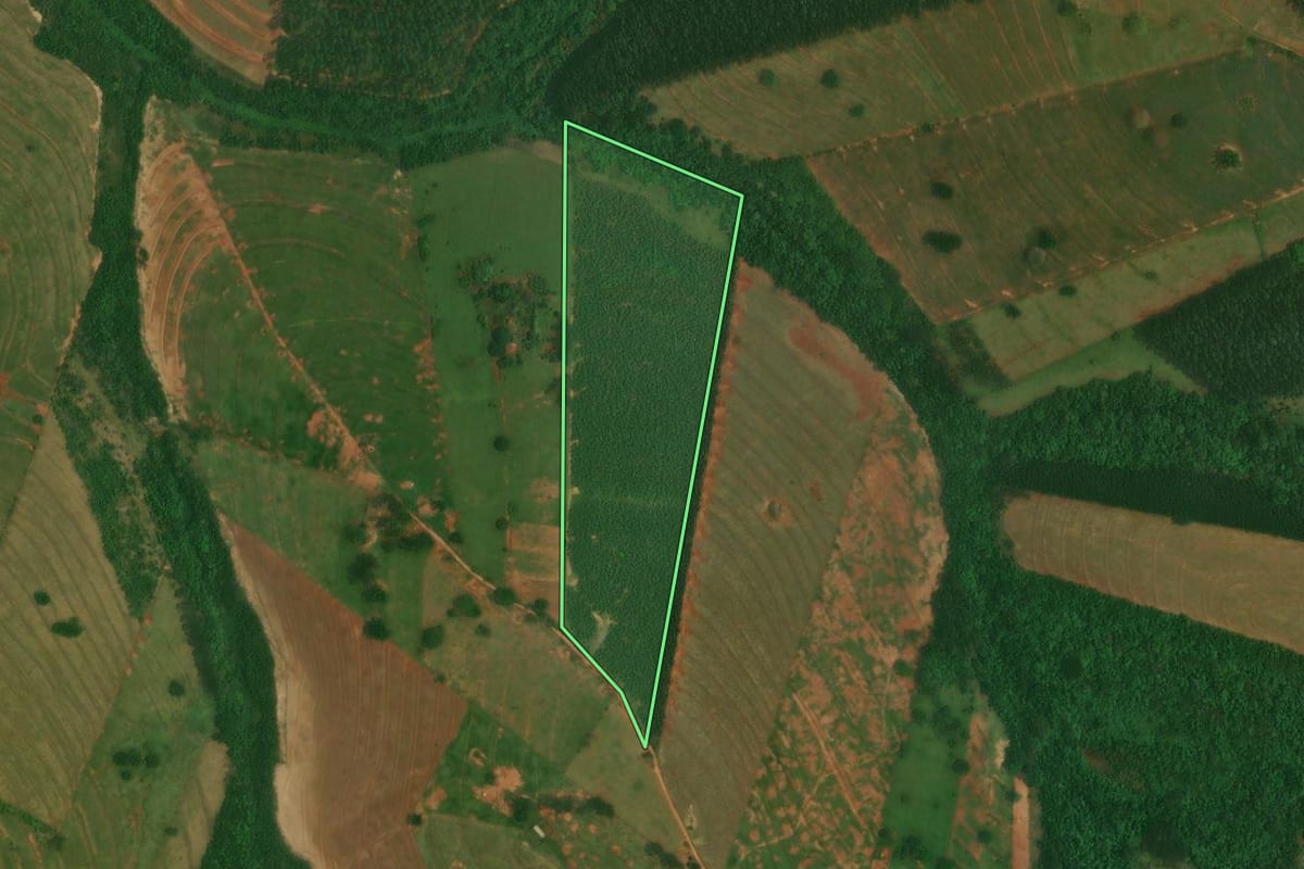 Imagem de satélite do imóvel rural em Altônia (PR), com o contorno declarado no CAR desenhado por cima.