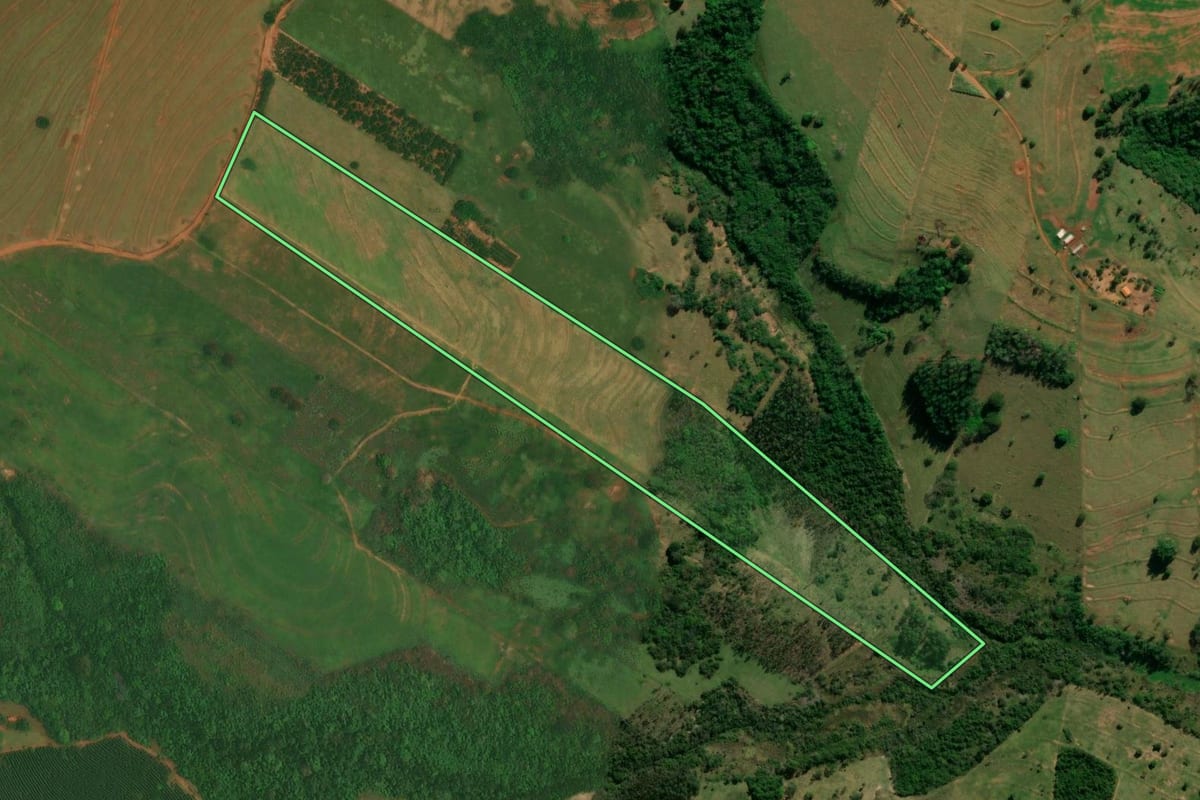 Imagem de satélite do imóvel rural em Altônia (PR), com o contorno declarado no CAR desenhado por cima.