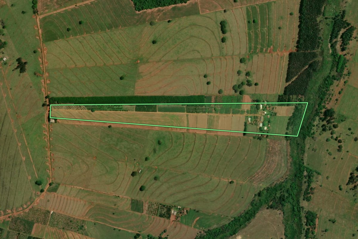Imagem de satélite do imóvel rural em Altônia (PR), com o contorno declarado no CAR desenhado por cima.