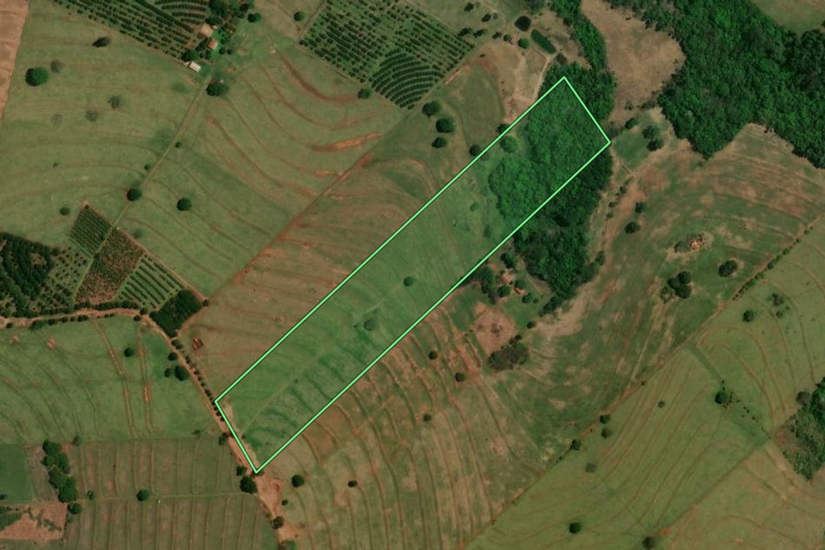 Imagem de satélite do imóvel rural em Altônia (PR), com o contorno declarado no CAR desenhado por cima.