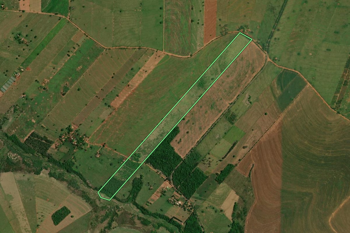 Imagem de satélite do imóvel rural em Altônia (PR), com o contorno declarado no CAR desenhado por cima.