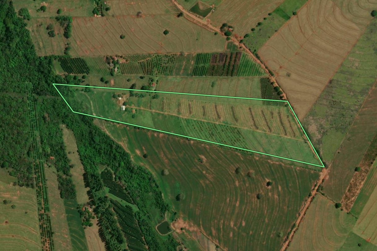 Imagem de satélite do imóvel rural em Altônia (PR), com o contorno declarado no CAR desenhado por cima.