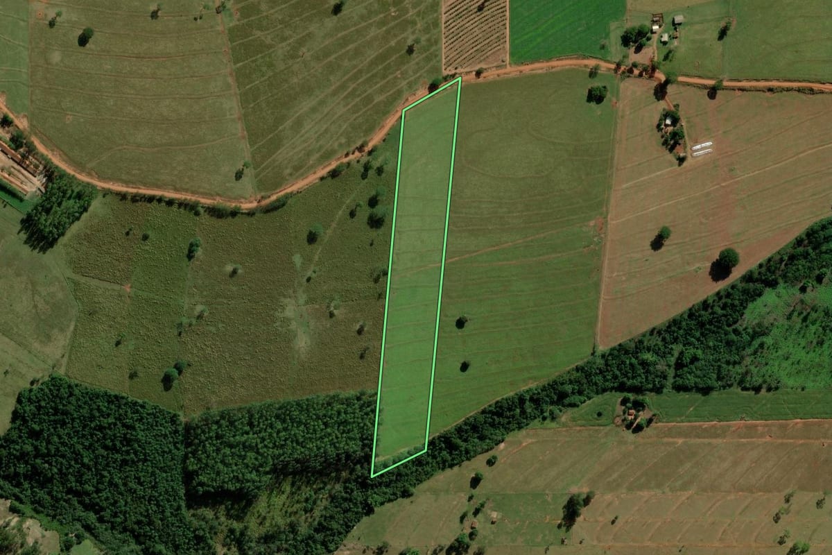 Imagem de satélite do imóvel rural em Altônia (PR), com o contorno declarado no CAR desenhado por cima.