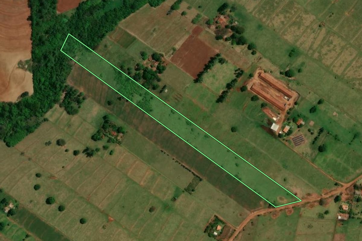 Imagem de satélite do imóvel rural em Altônia (PR), com o contorno declarado no CAR desenhado por cima.