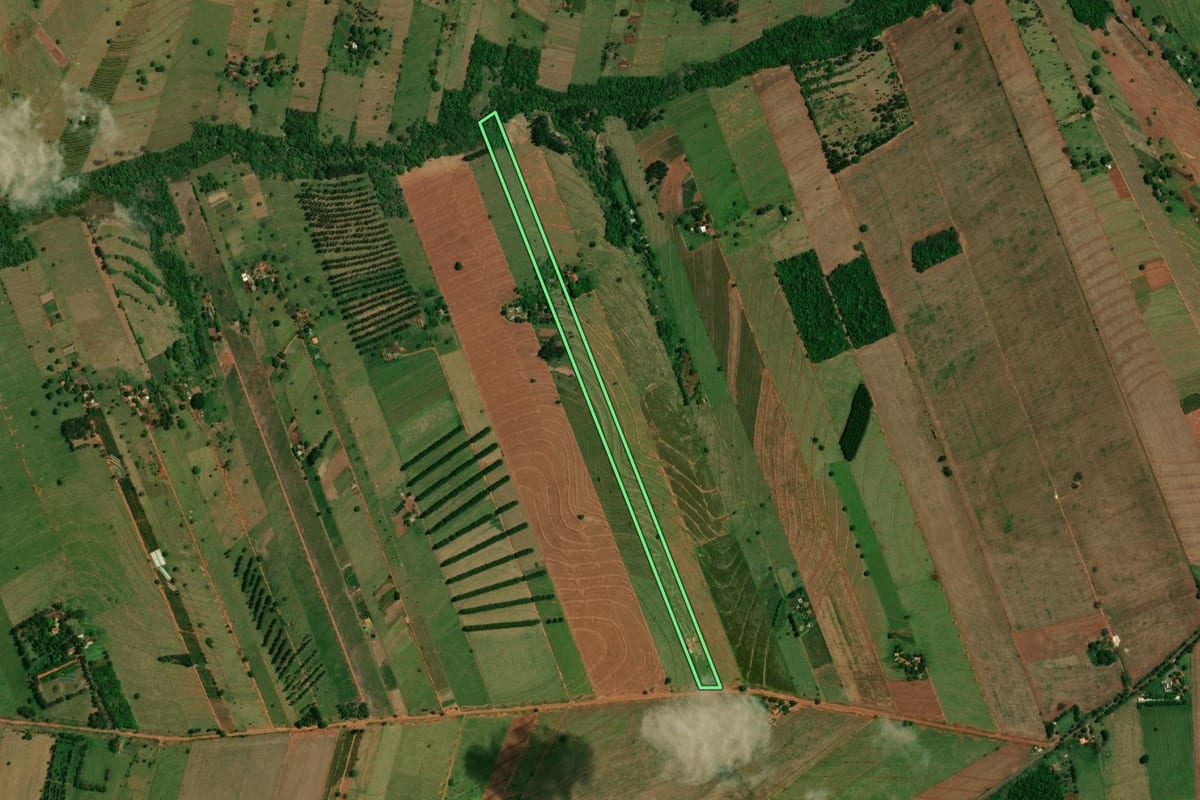 Imagem de satélite do imóvel rural em Altônia (PR), com o contorno declarado no CAR desenhado por cima.