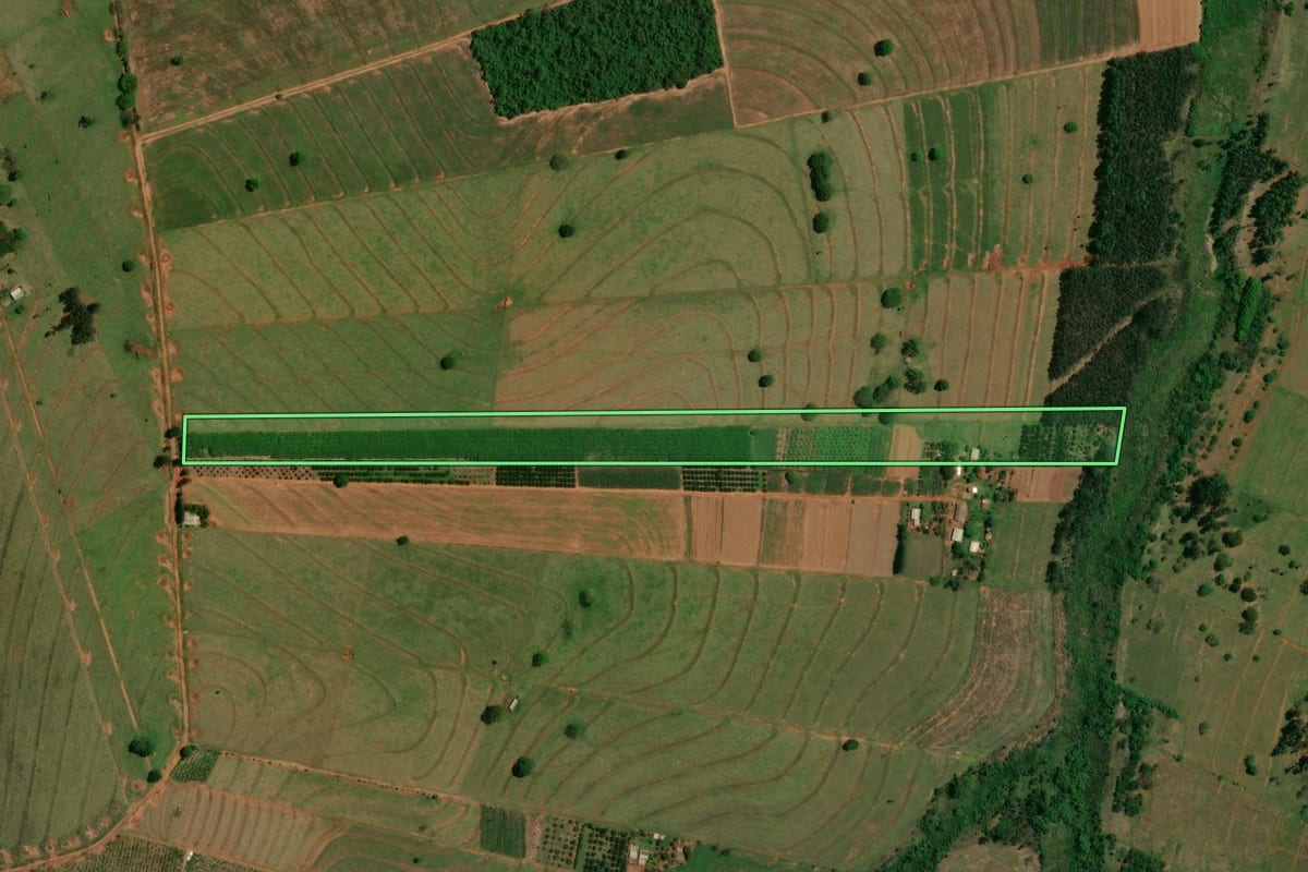 Imagem de satélite do imóvel rural em Altônia (PR), com o contorno declarado no CAR desenhado por cima.
