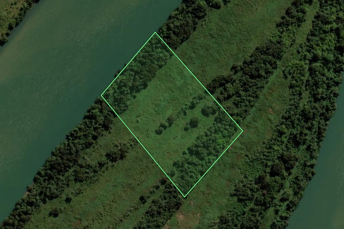 Imagem de satélite do imóvel rural em Altônia (PR), com o contorno declarado no CAR desenhado por cima.