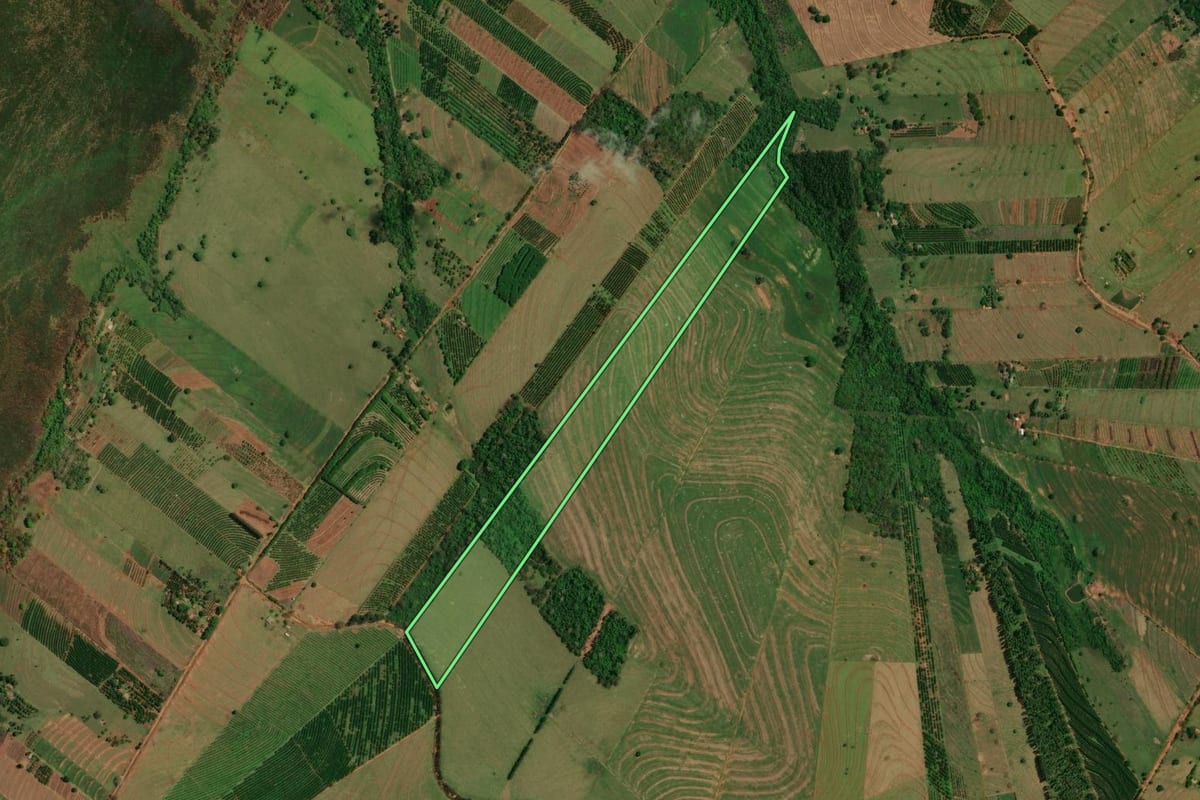 Imagem de satélite do imóvel rural em Altônia (PR), com o contorno declarado no CAR desenhado por cima.