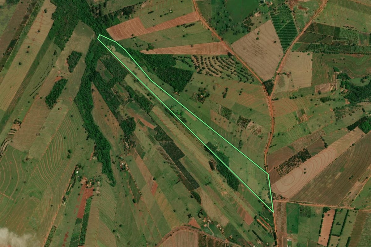 Imagem de satélite do imóvel rural em Altônia (PR), com o contorno declarado no CAR desenhado por cima.