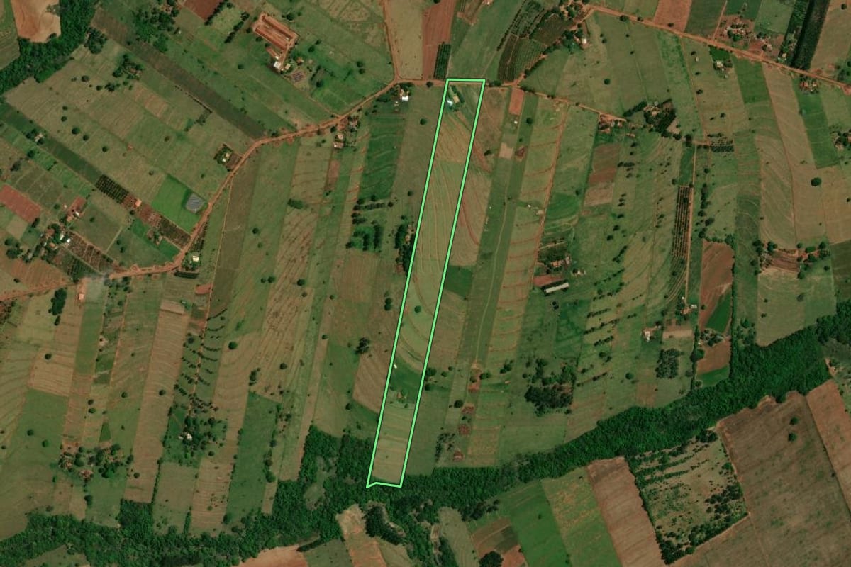 Imagem de satélite do imóvel rural em Altônia (PR), com o contorno declarado no CAR desenhado por cima.