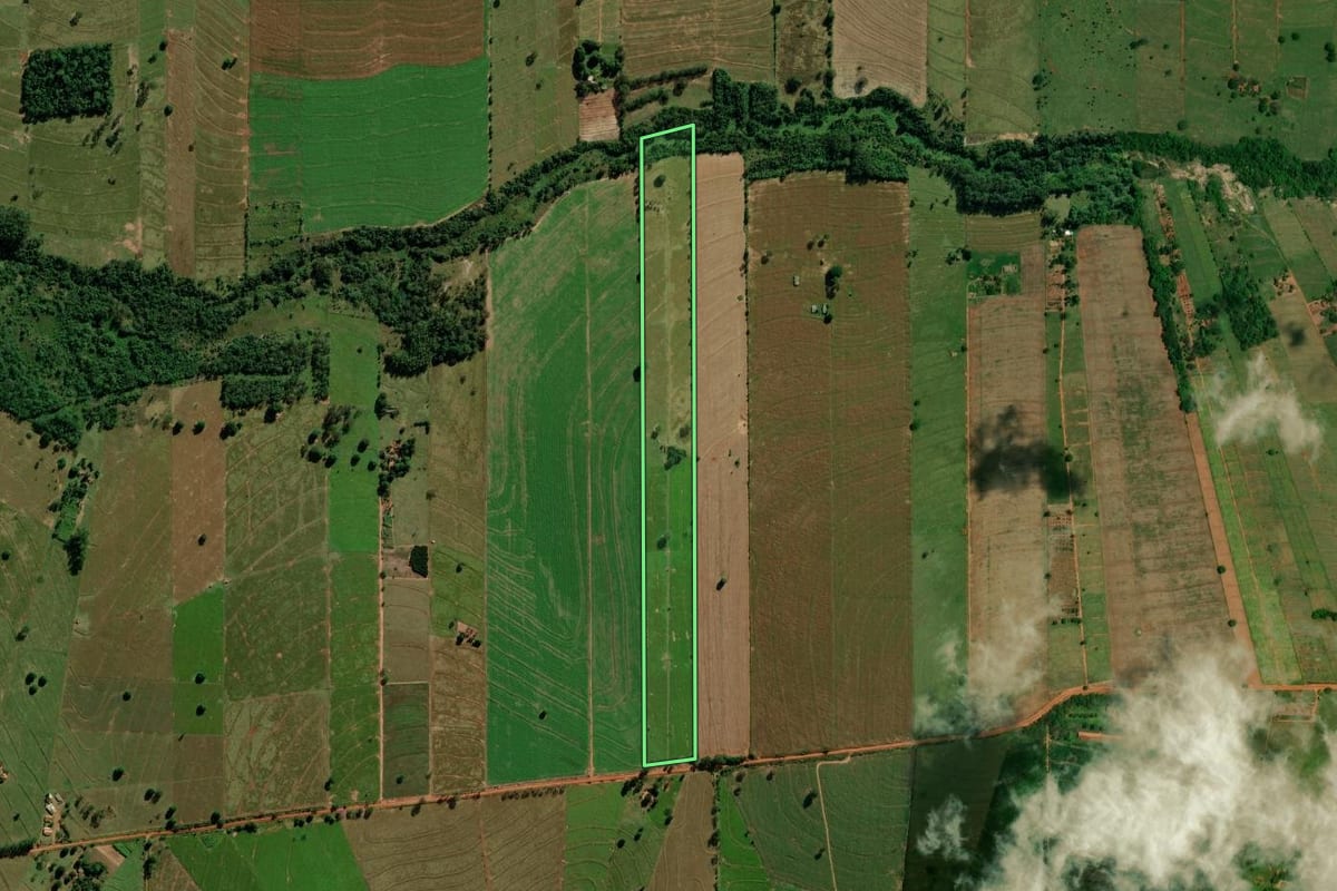 Imagem de satélite do imóvel rural em Altônia (PR), com o contorno declarado no CAR desenhado por cima.