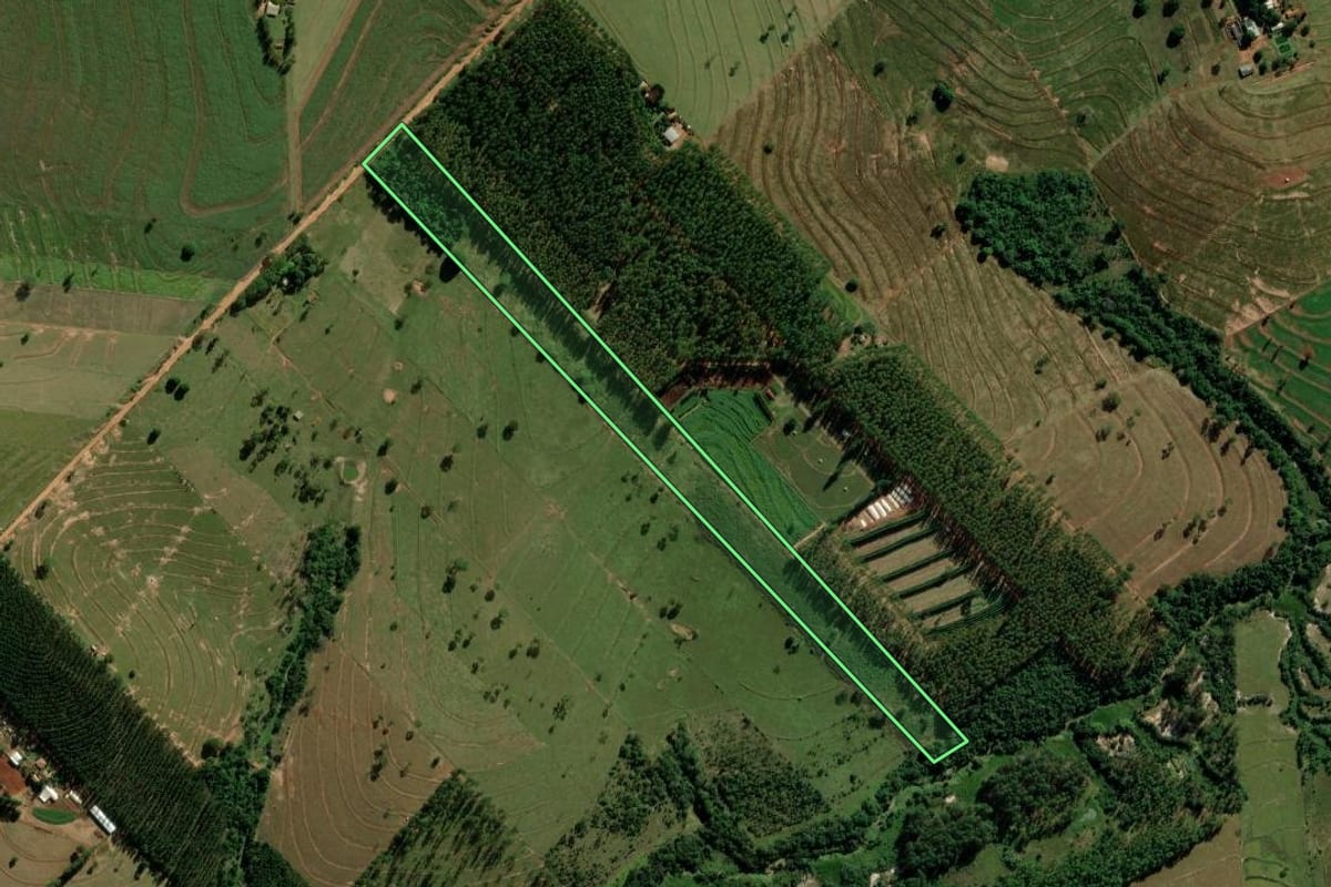 Imagem de satélite do imóvel rural em Altônia (PR), com o contorno declarado no CAR desenhado por cima.