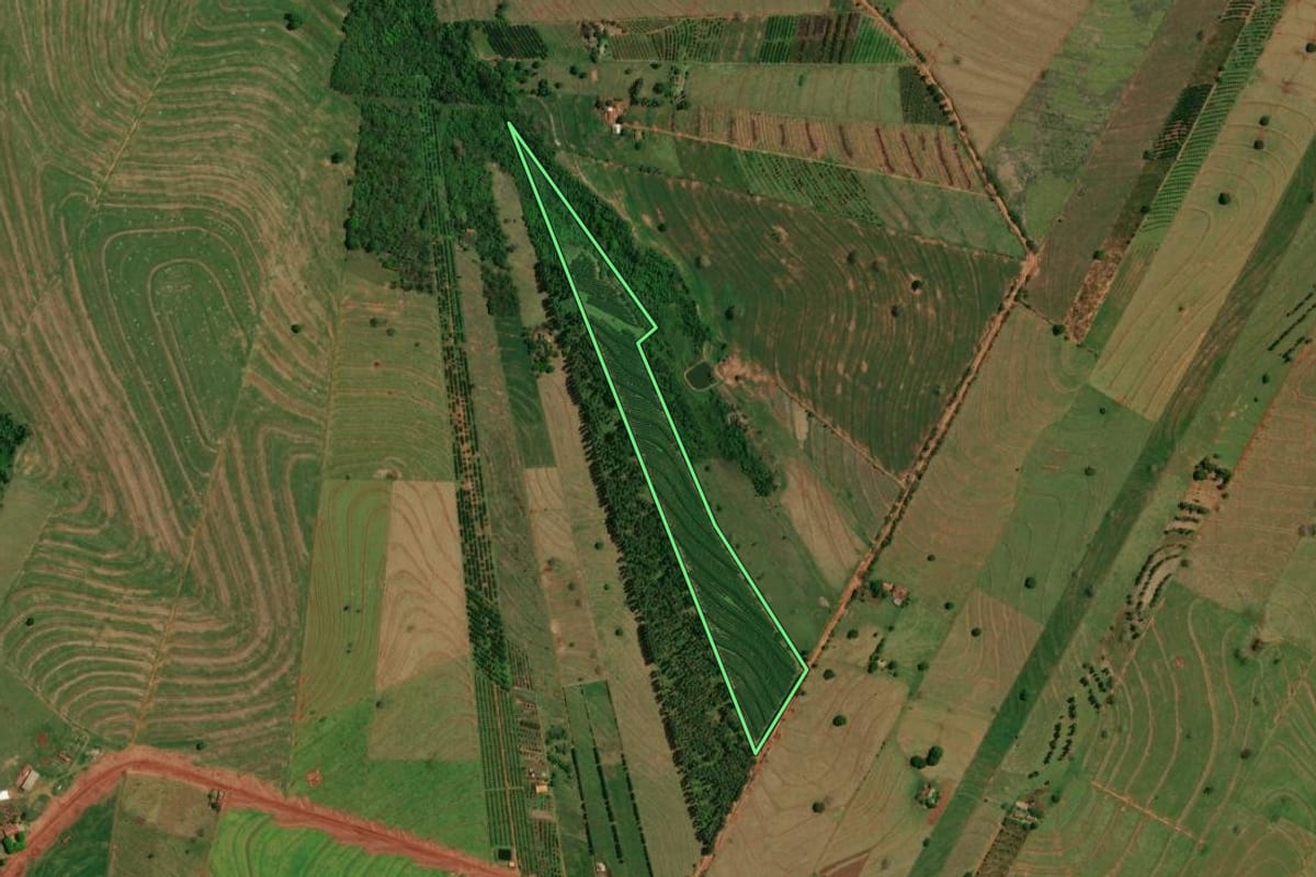 Imagem de satélite do imóvel rural em Altônia (PR), com o contorno declarado no CAR desenhado por cima.