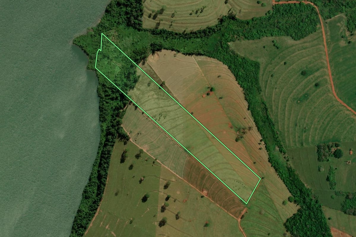 Imagem de satélite do imóvel rural em Altônia (PR), com o contorno declarado no CAR desenhado por cima.