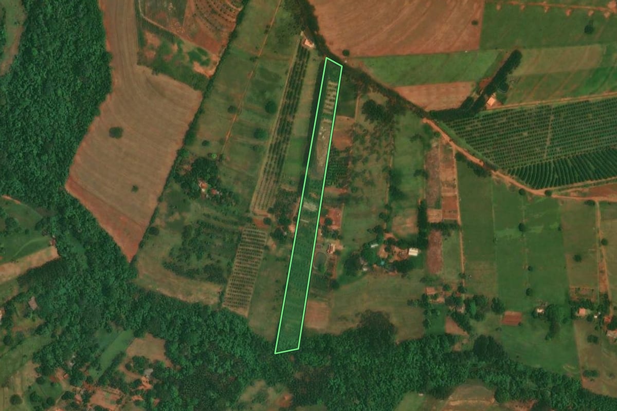Imagem de satélite do imóvel rural em Altônia (PR), com o contorno declarado no CAR desenhado por cima.