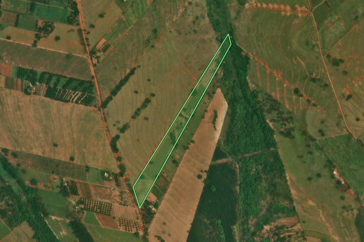 Imagem de satélite do imóvel rural em Altônia (PR), com o contorno declarado no CAR desenhado por cima.