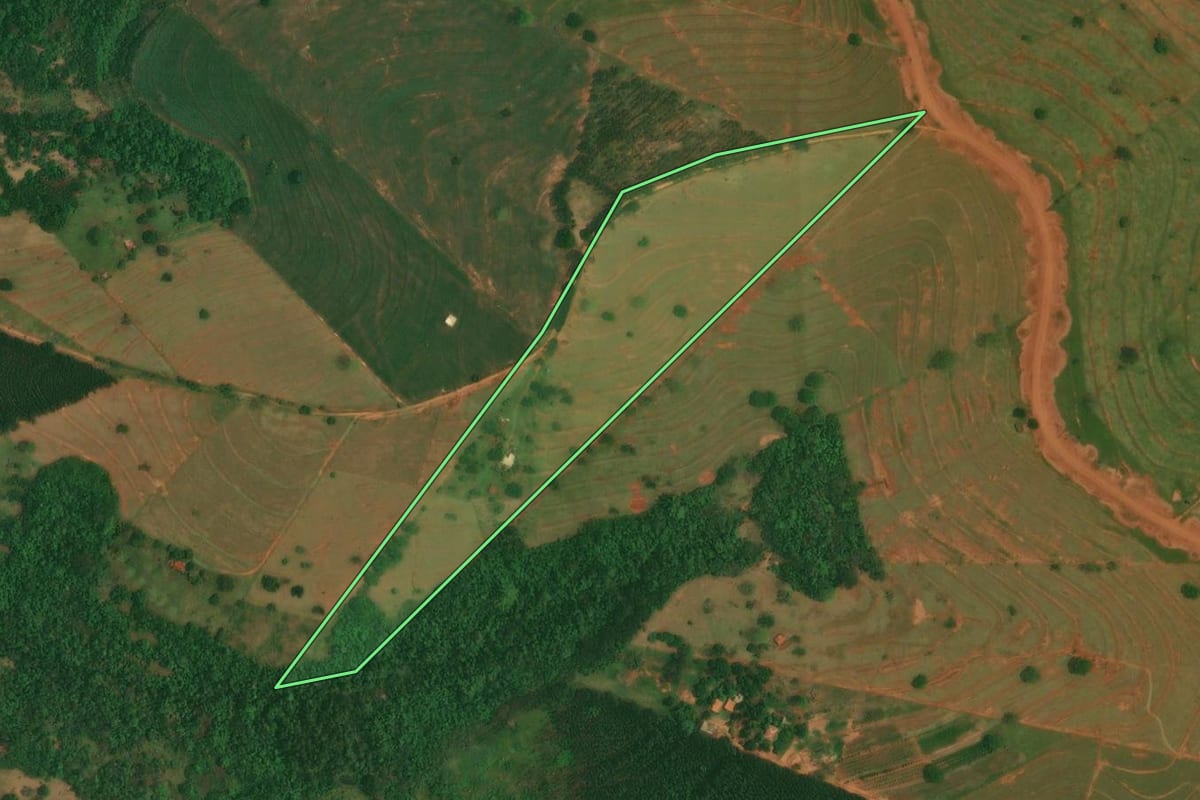 Imagem de satélite do imóvel rural em Altônia (PR), com o contorno declarado no CAR desenhado por cima.