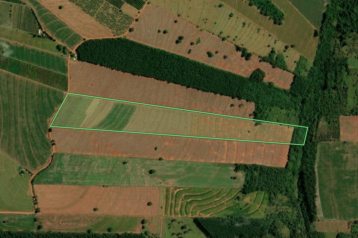 Imagem de satélite do imóvel rural em Altônia (PR), com o contorno declarado no CAR desenhado por cima.