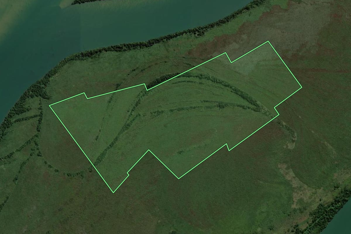Imagem de satélite do imóvel rural em Altônia (PR), com o contorno declarado no CAR desenhado por cima.