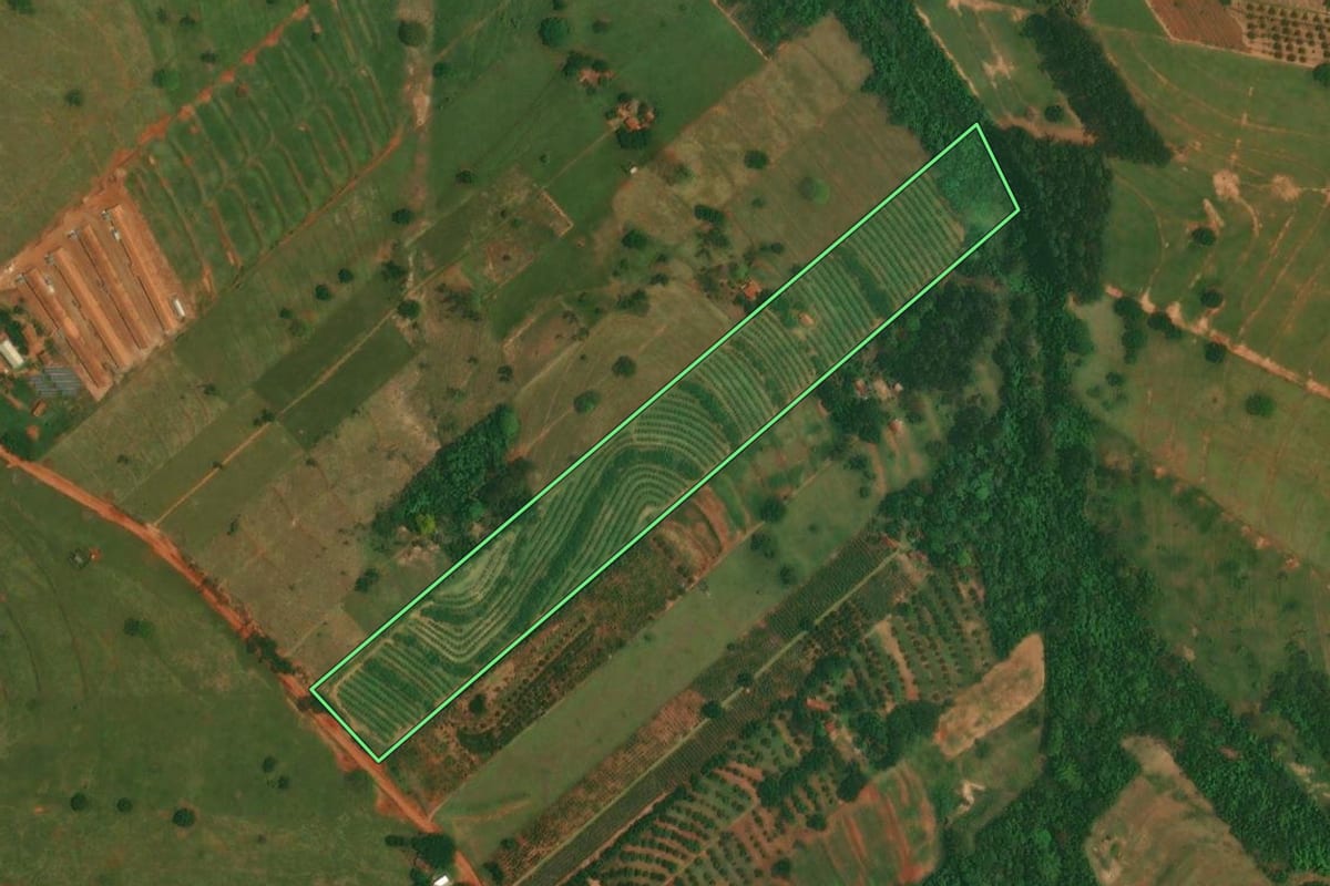 Imagem de satélite do imóvel rural em Altônia (PR), com o contorno declarado no CAR desenhado por cima.