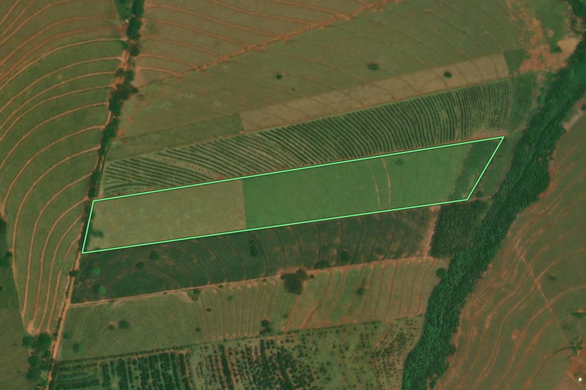 Imagem de satélite do imóvel rural em Altônia (PR), com o contorno declarado no CAR desenhado por cima.