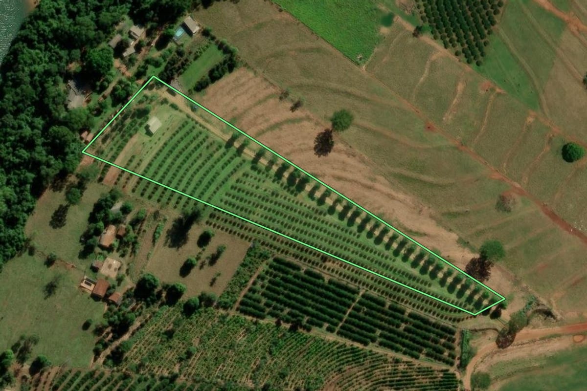 Imagem de satélite do imóvel rural em Altônia (PR), com o contorno declarado no CAR desenhado por cima.
