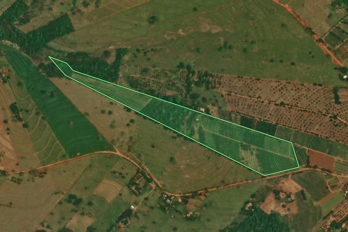 Imagem de satélite do imóvel rural em Altônia (PR), com o contorno declarado no CAR desenhado por cima.