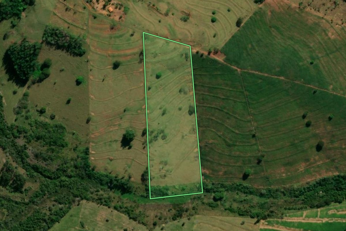Imagem de satélite do imóvel rural em Altônia (PR), com o contorno declarado no CAR desenhado por cima.