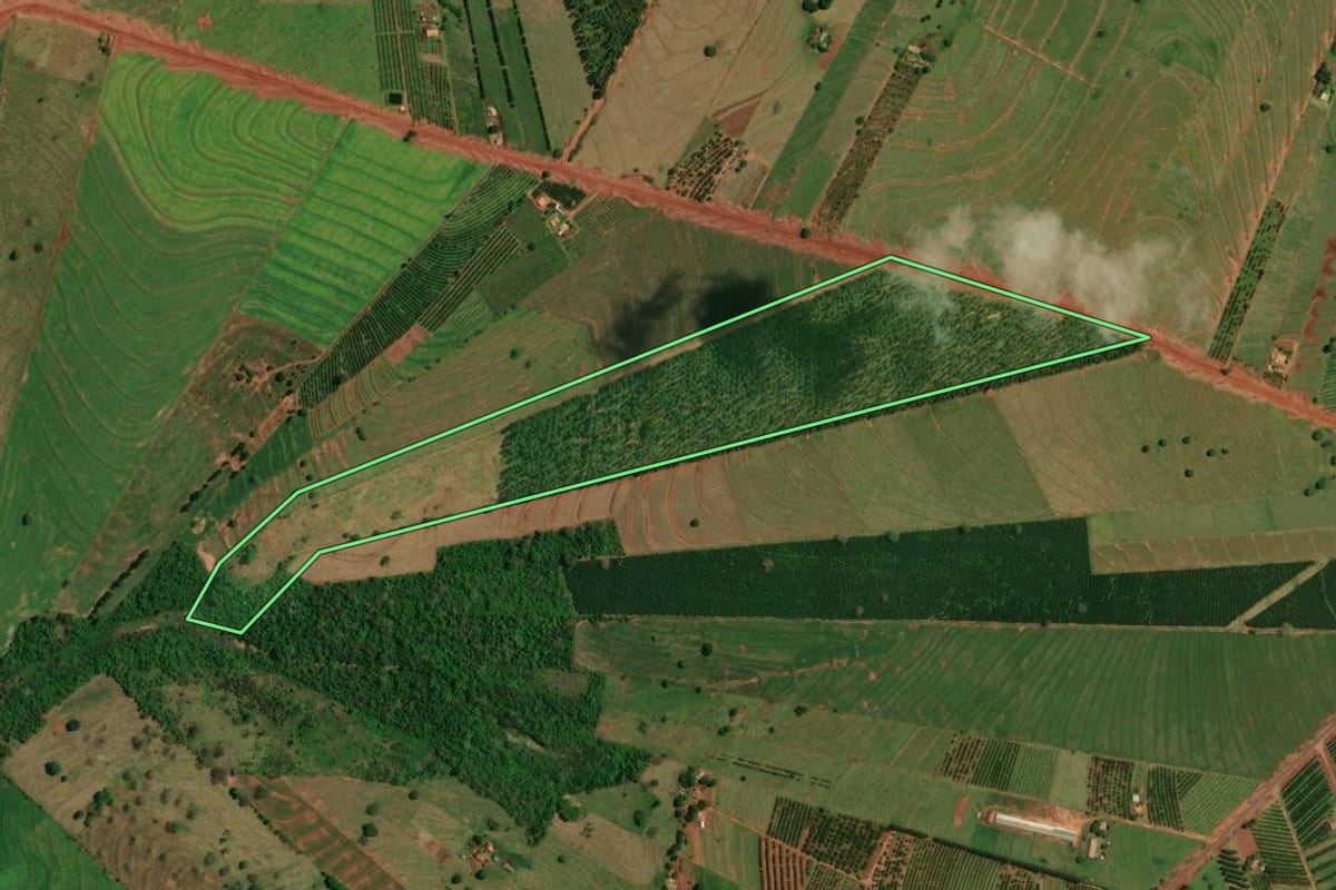 Imagem de satélite do imóvel rural em Altônia (PR), com o contorno declarado no CAR desenhado por cima.