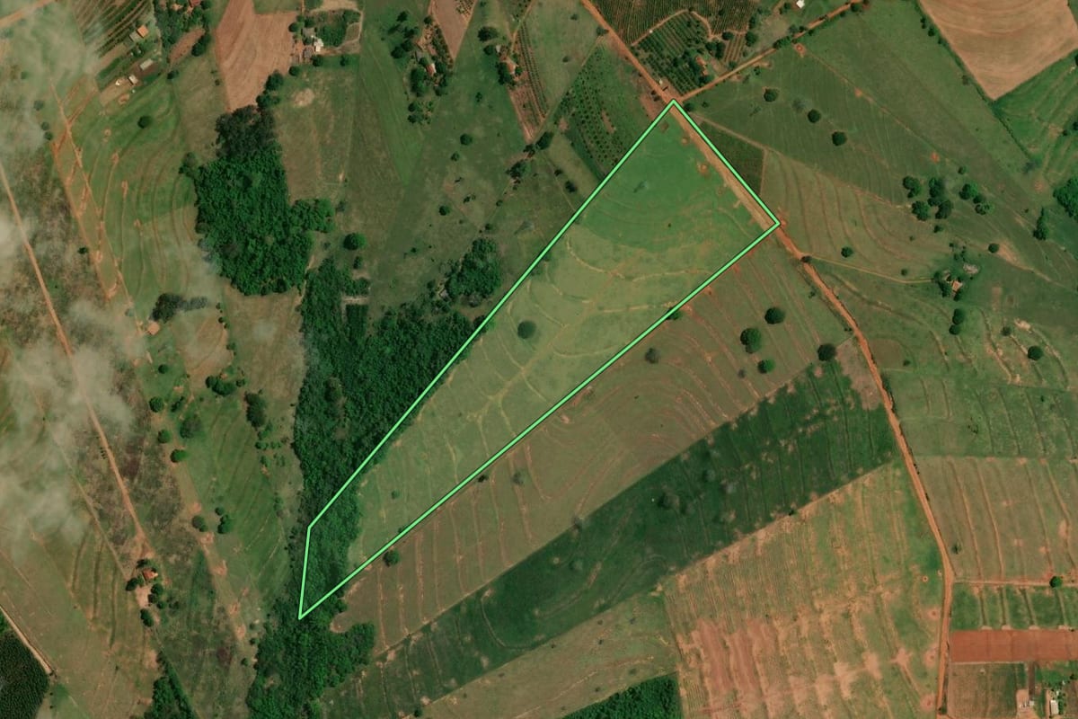 Imagem de satélite do imóvel rural em Altônia (PR), com o contorno declarado no CAR desenhado por cima.