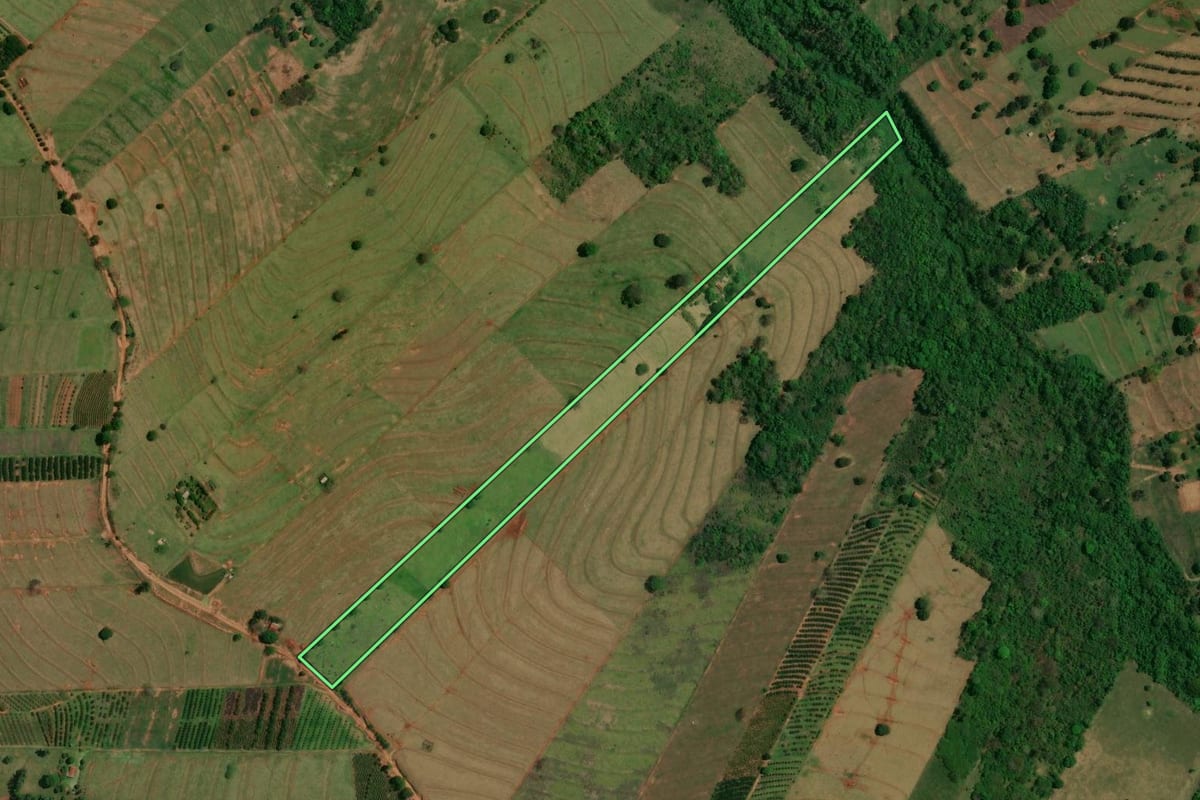 Imagem de satélite do imóvel rural em Altônia (PR), com o contorno declarado no CAR desenhado por cima.