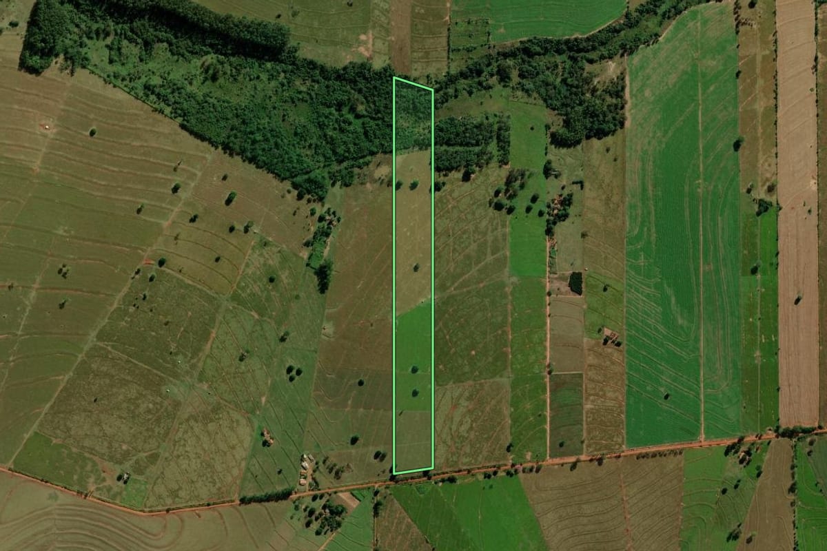 Imagem de satélite do imóvel rural em Altônia (PR), com o contorno declarado no CAR desenhado por cima.