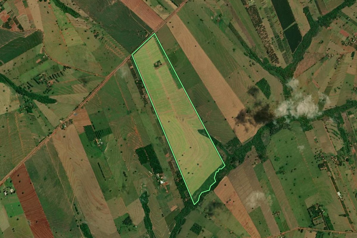 Imagem de satélite do imóvel rural em Altônia (PR), com o contorno declarado no CAR desenhado por cima.