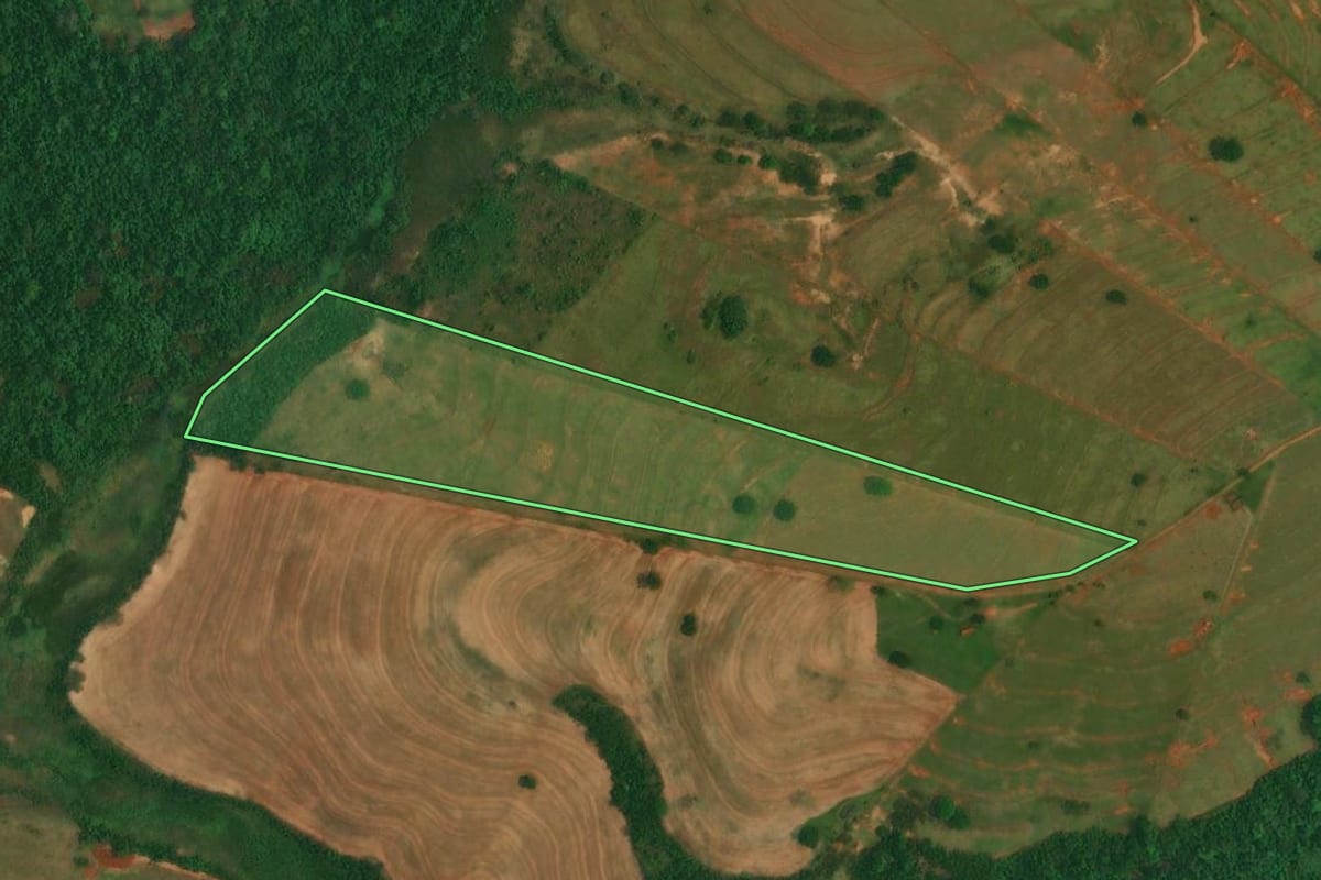 Imagem de satélite do imóvel rural em Altônia (PR), com o contorno declarado no CAR desenhado por cima.