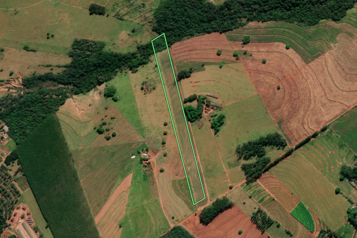 Imagem de satélite do imóvel rural em Alto Paraná (PR), com o contorno declarado no CAR desenhado por cima.