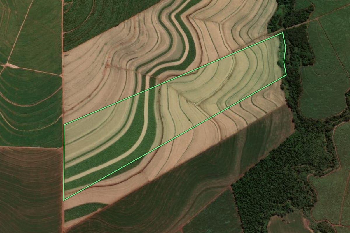 Imagem de satélite do imóvel rural em Alto Paraná (PR), com o contorno declarado no CAR desenhado por cima.