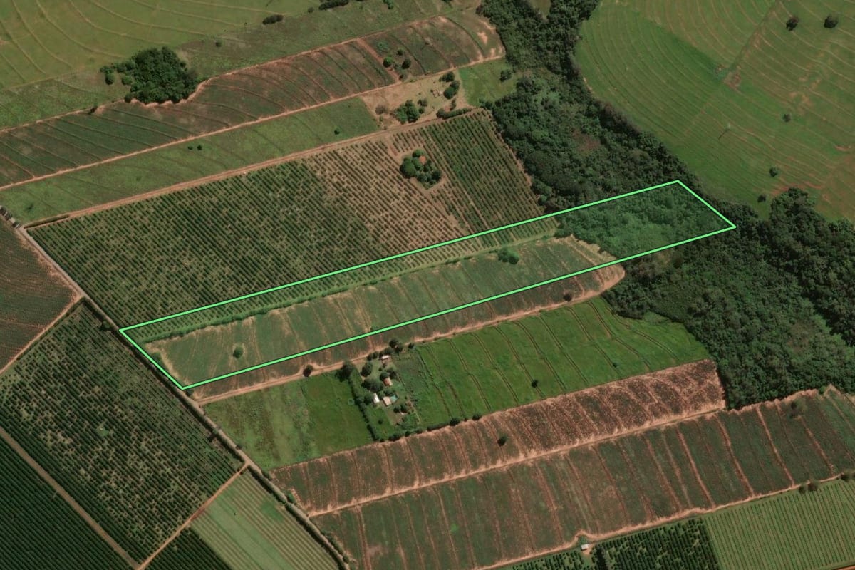 Imagem de satélite do imóvel rural em Alto Paraná (PR), com o contorno declarado no CAR desenhado por cima.