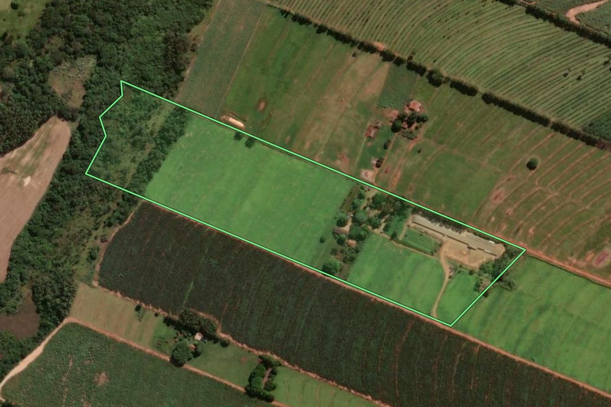 Imagem de satélite do imóvel rural em Alto Paraná (PR), com o contorno declarado no CAR desenhado por cima.