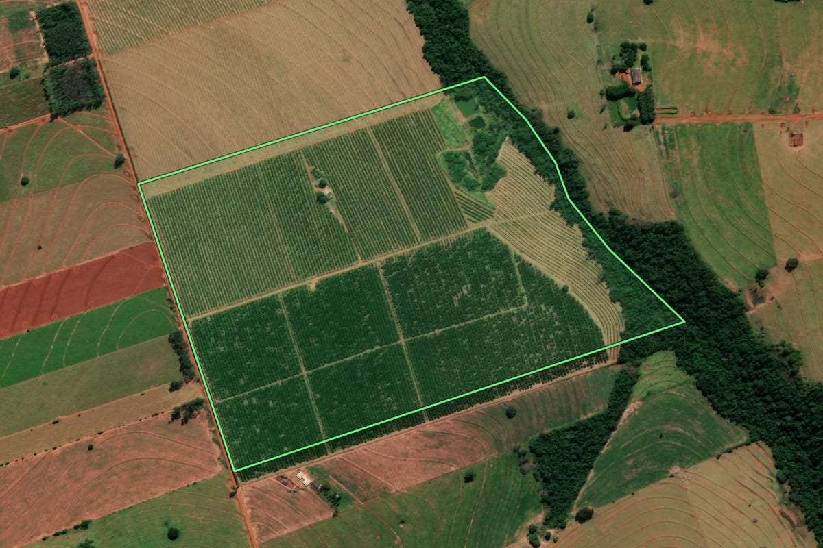 Imagem de satélite do imóvel rural em Alto Paraná (PR), com o contorno declarado no CAR desenhado por cima.