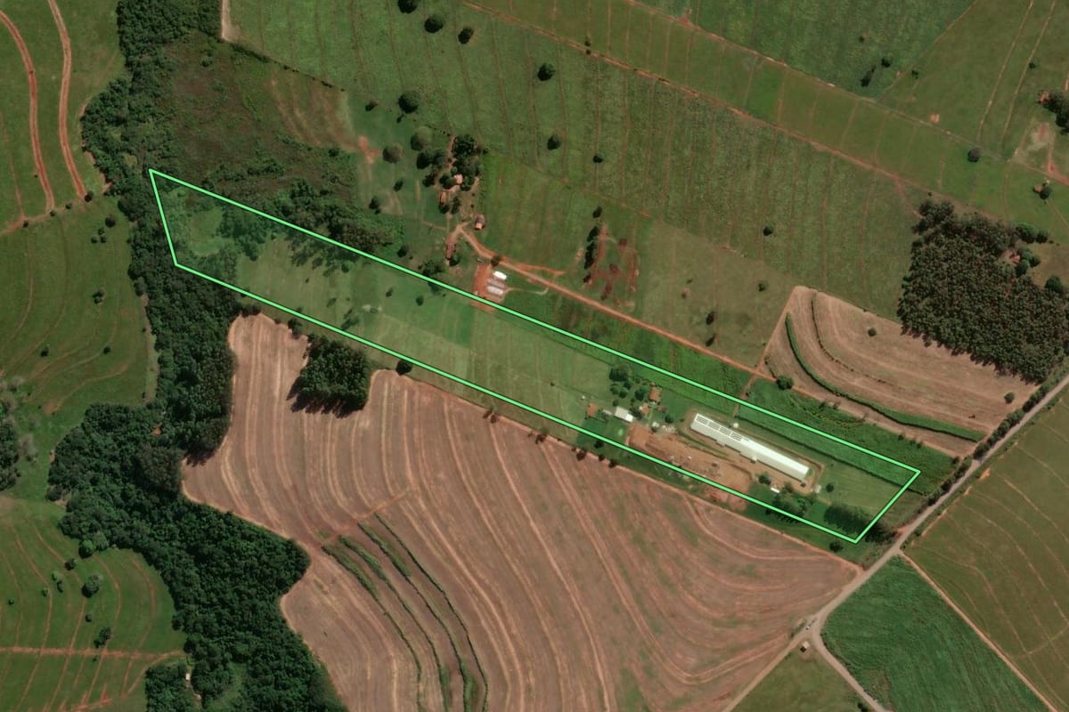 Imagem de satélite do imóvel rural em Alto Paraná (PR), com o contorno declarado no CAR desenhado por cima.