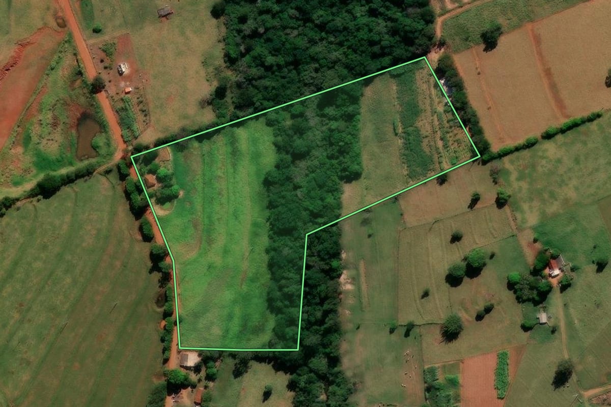 Imagem de satélite do imóvel rural em Alto Paraná (PR), com o contorno declarado no CAR desenhado por cima.
