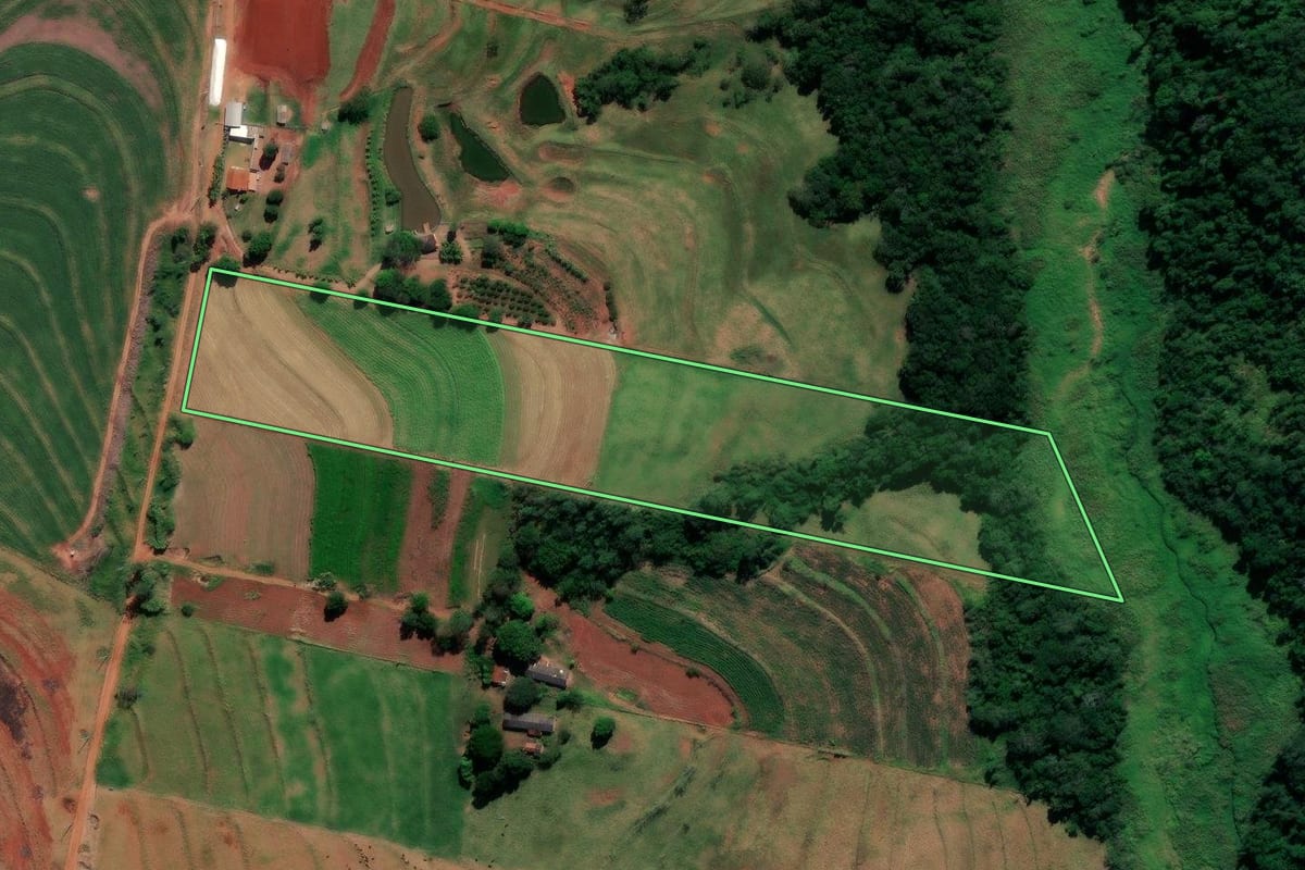 Imagem de satélite do imóvel rural em Alto Paraná (PR), com o contorno declarado no CAR desenhado por cima.
