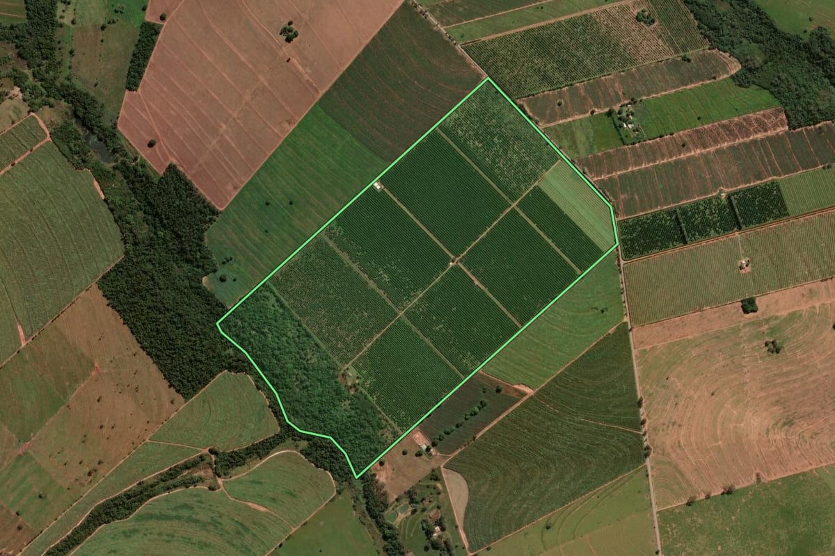 Imagem de satélite do imóvel rural em Alto Paraná (PR), com o contorno declarado no CAR desenhado por cima.